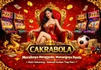 rtp gacor evohoki.com: panduan lengkap slot online untuk pemula